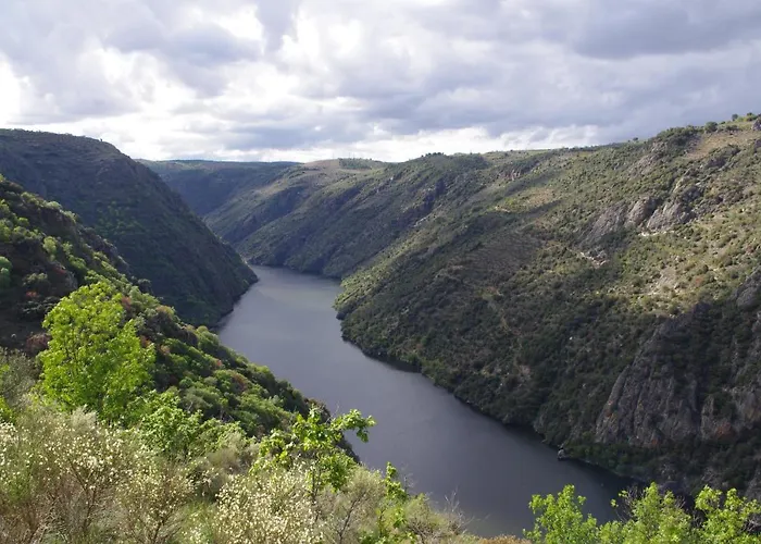El Olivo / El Almendro *